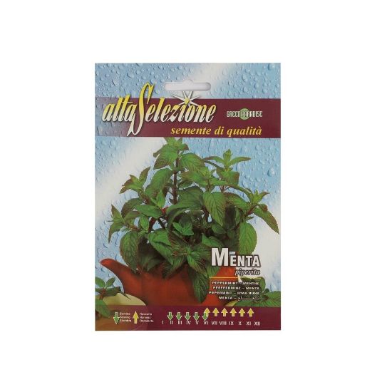 Picture of Alta Peppermint Seeds 92/1-AS