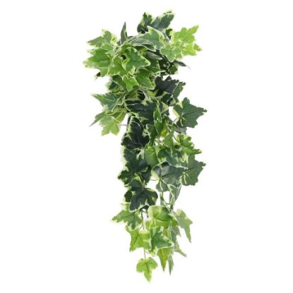 Picture of Maple Leaf Indoor Decorative Plant With Pot KH6007 60cm