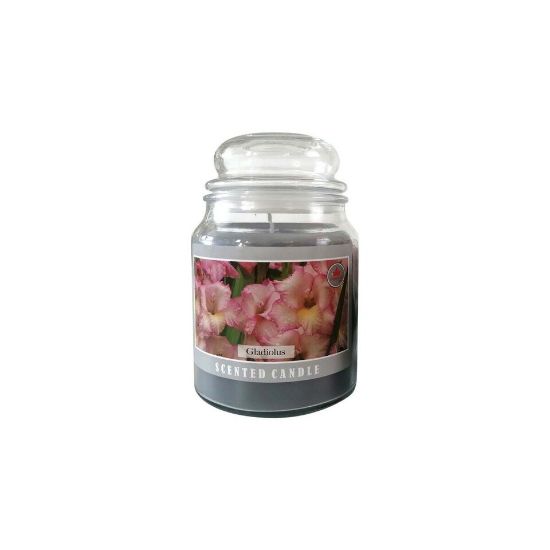 Picture of Maple Leaf Scented Glass Jar Candle with Lid MGP1016 600gm Gladiolus